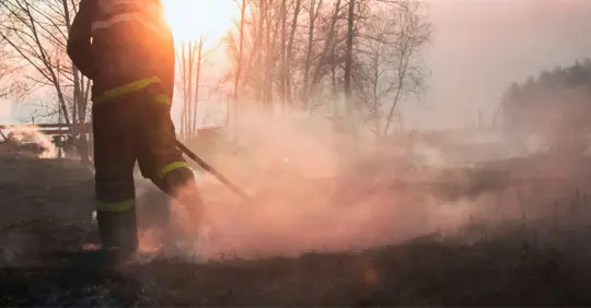 Raging forest spring fires